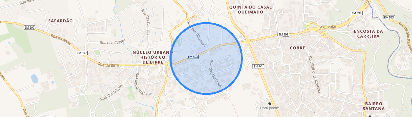 listing-map-picture
