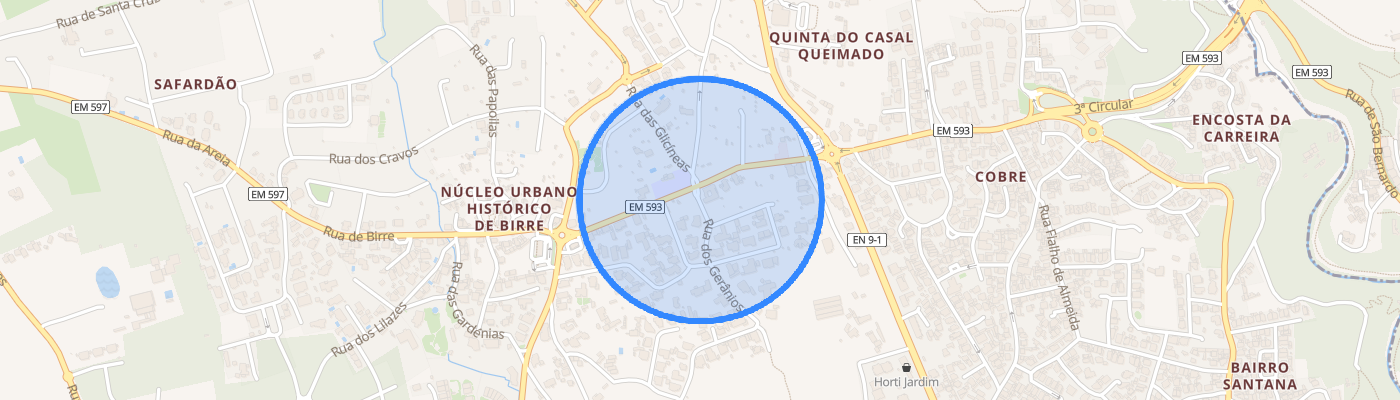 listing-map-picture