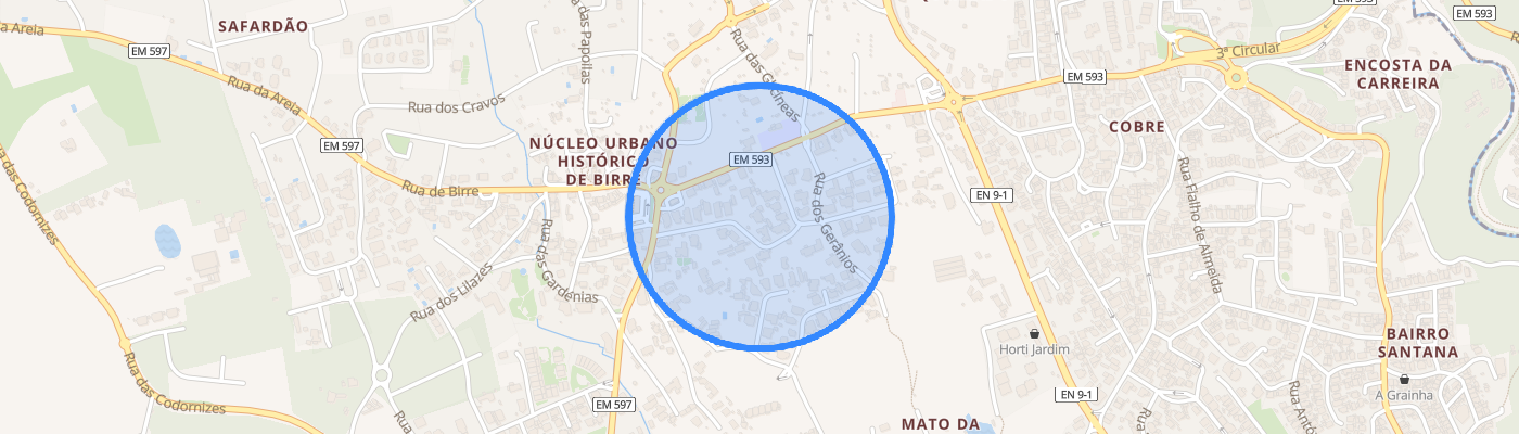 listing-map-picture