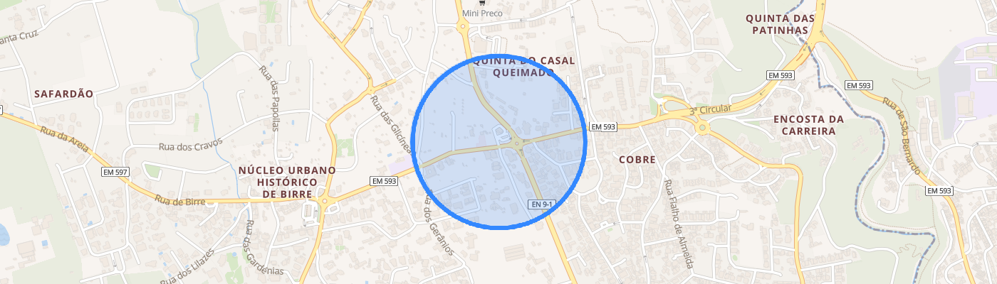 listing-map-picture