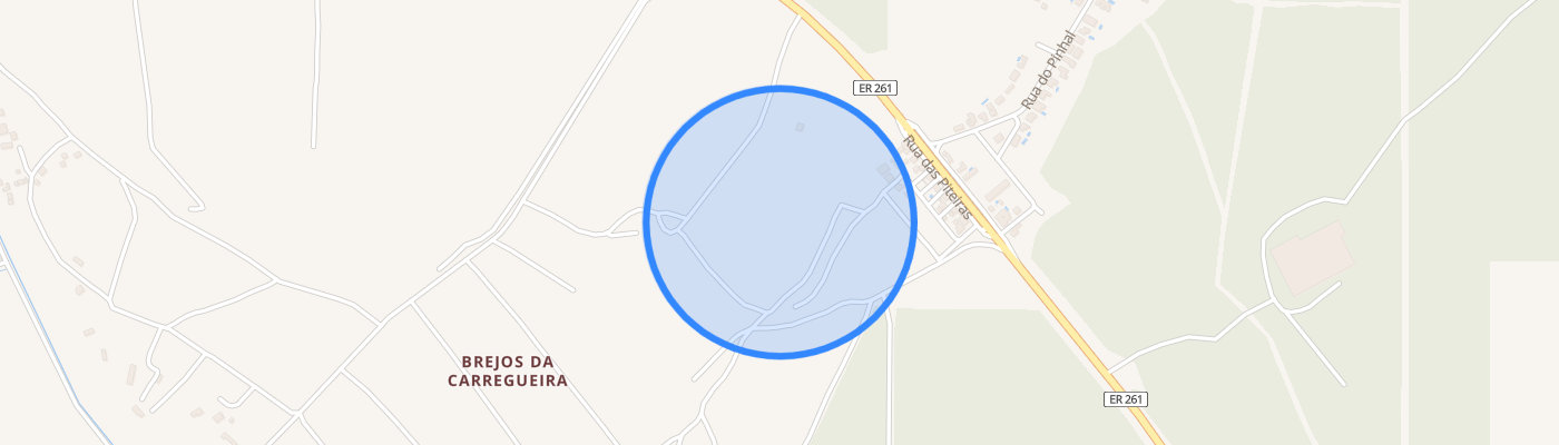 listing-map-picture