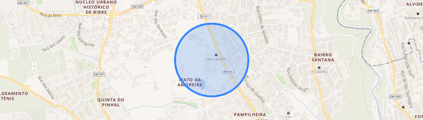 listing-map-picture