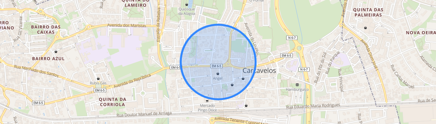 listing-map-picture