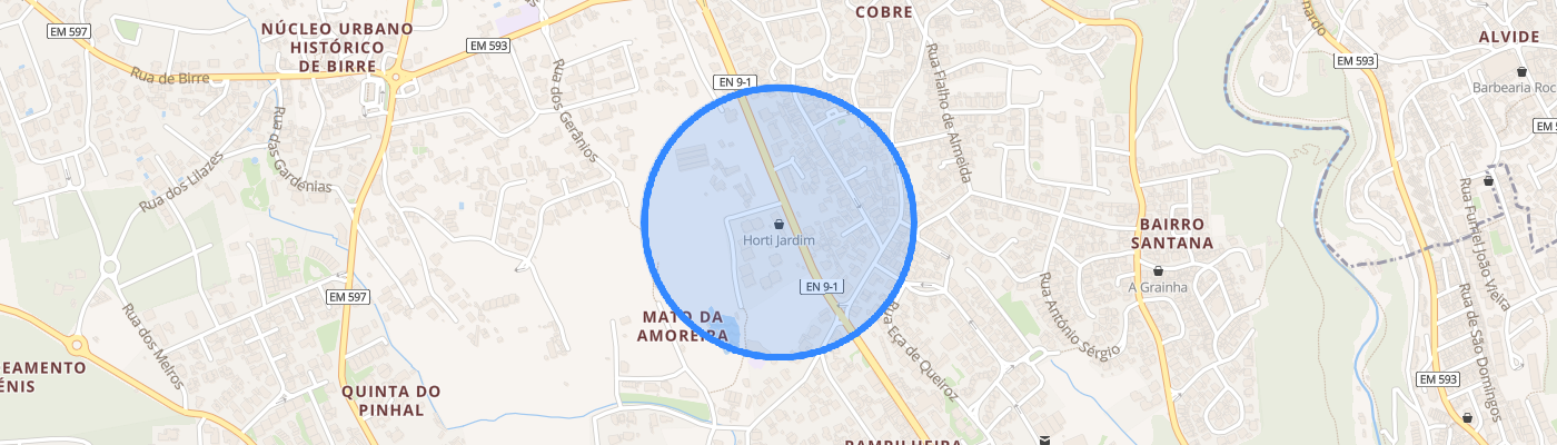 listing-map-picture