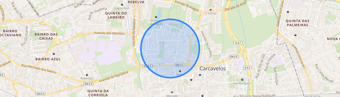 listing-map-picture