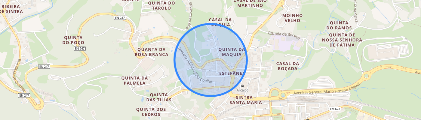 listing-map-picture