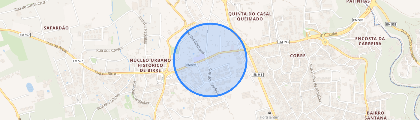 listing-map-picture