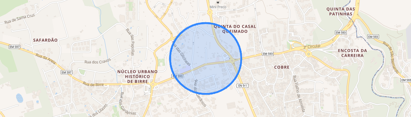 listing-map-picture