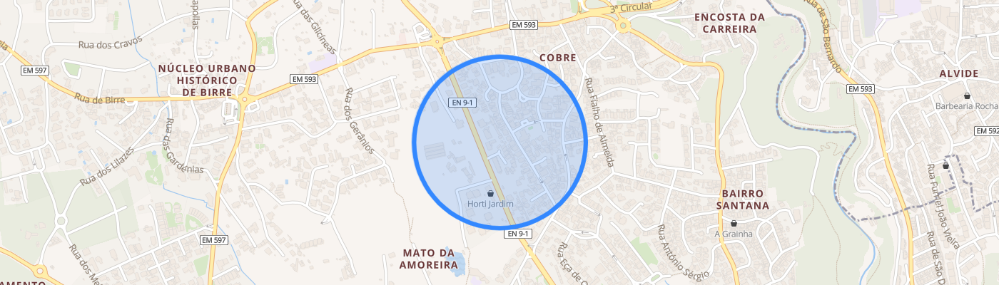 listing-map-picture