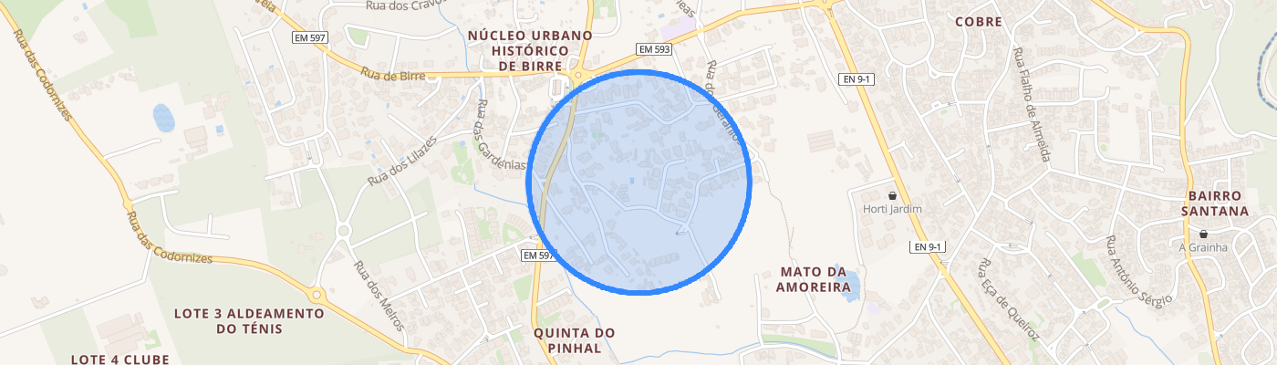 listing-map-picture