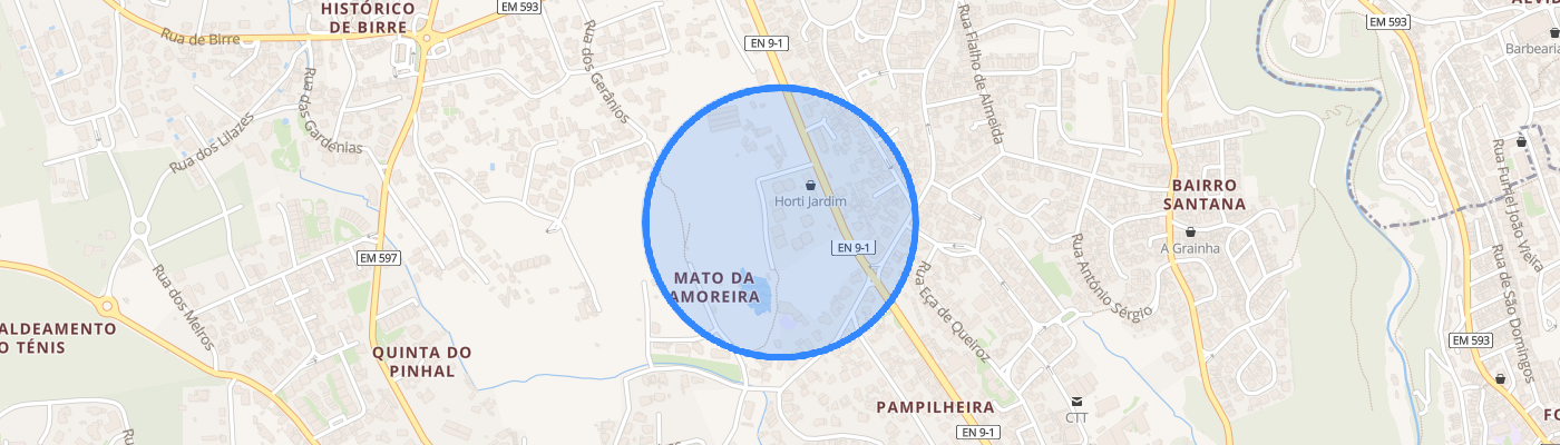 listing-map-picture