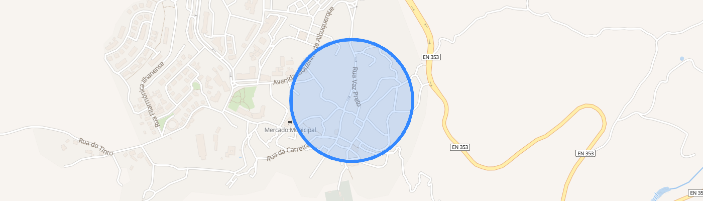 listing-map-picture