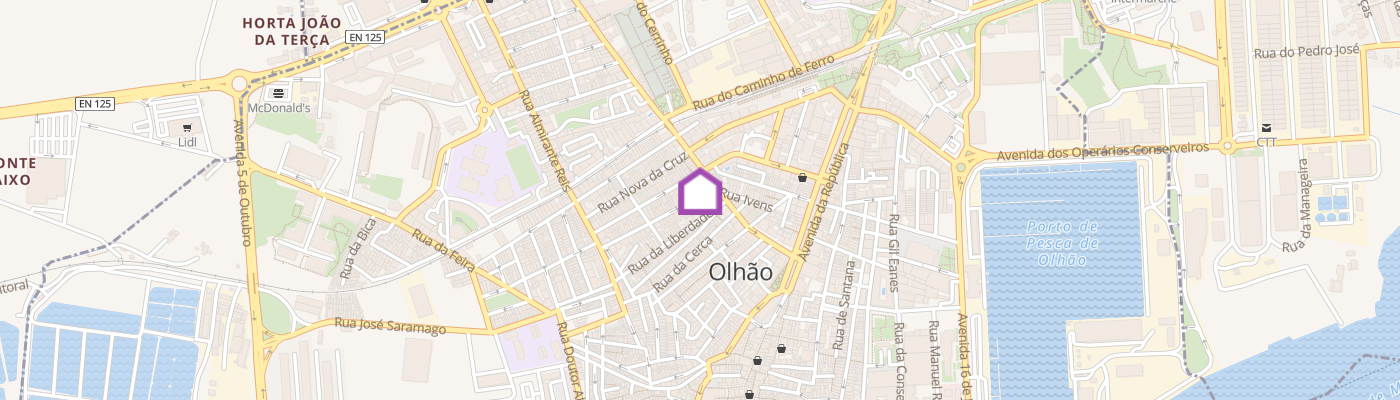 listing-map-picture