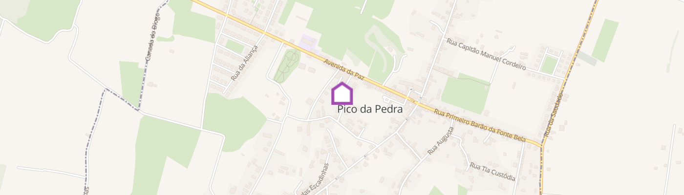 listing-map-picture