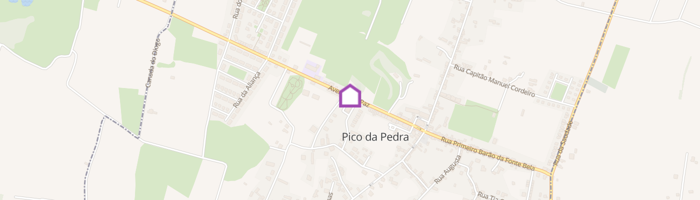 listing-map-picture