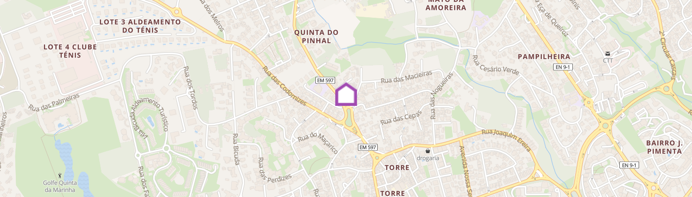 listing-map-picture