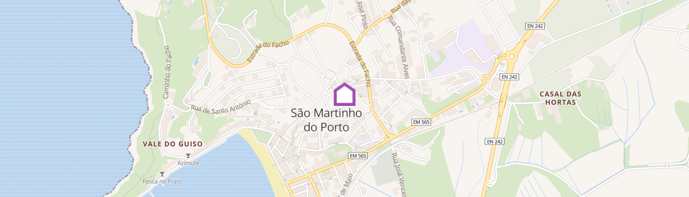 listing-map-picture