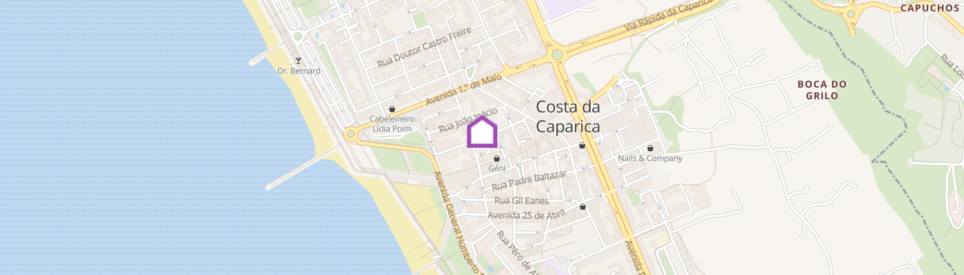 listing-map-picture
