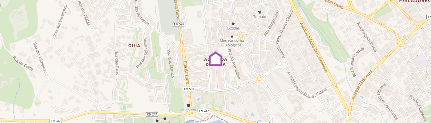 listing-map-picture
