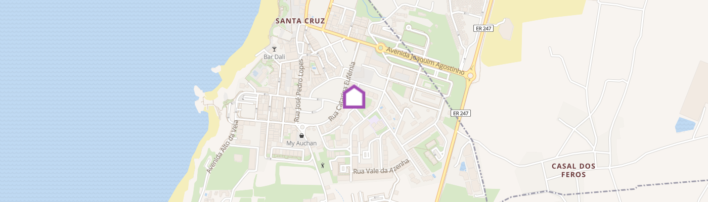 listing-map-picture