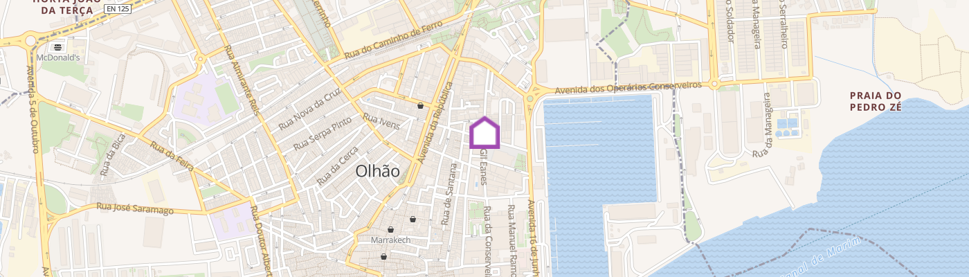 listing-map-picture