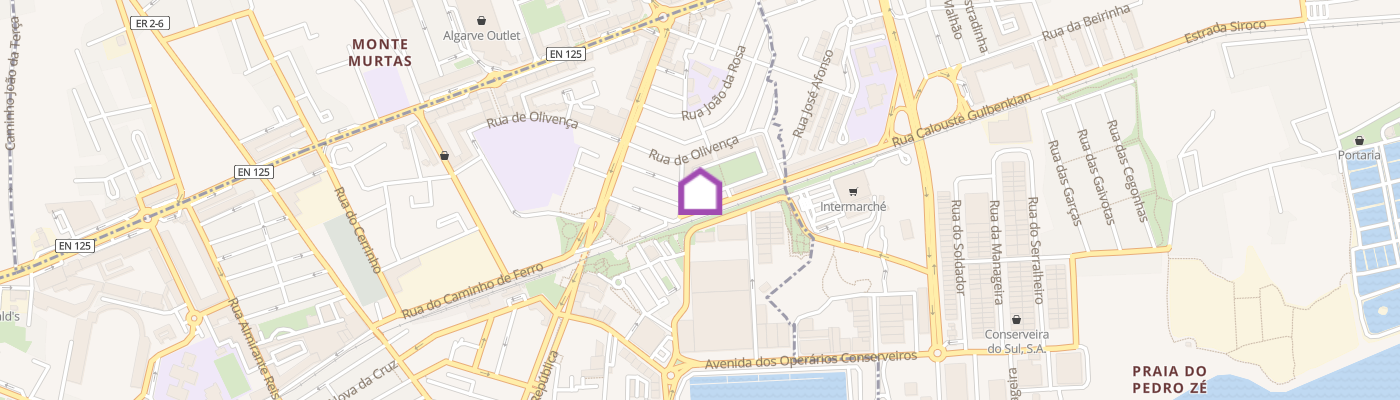 listing-map-picture