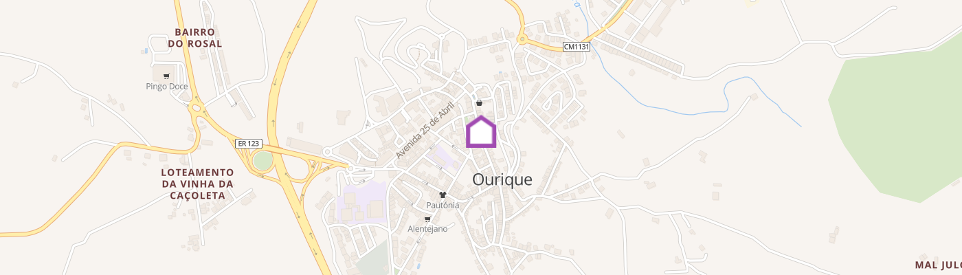 listing-map-picture