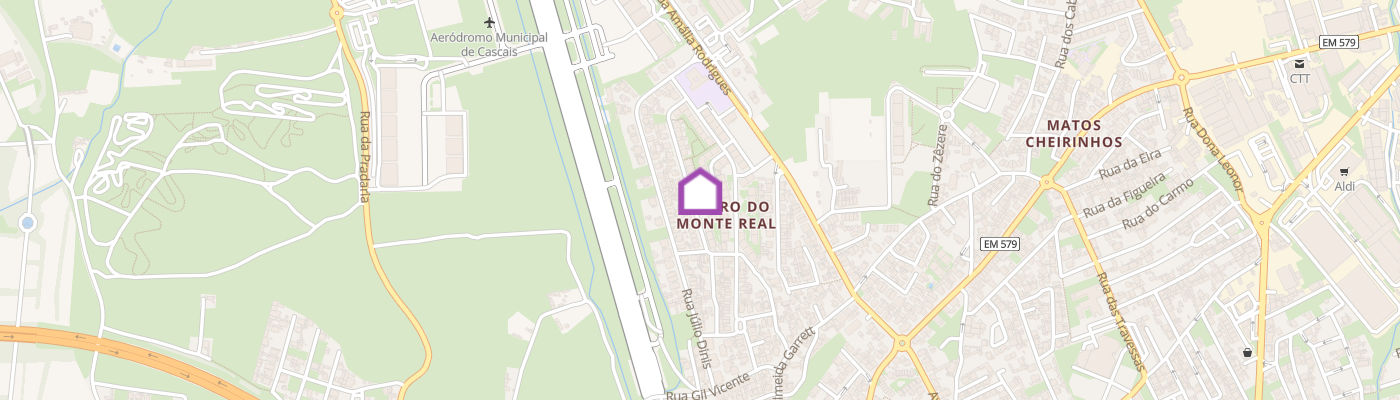 listing-map-picture