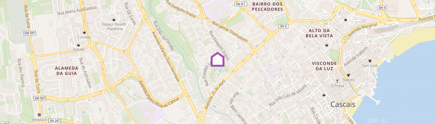 listing-map-picture