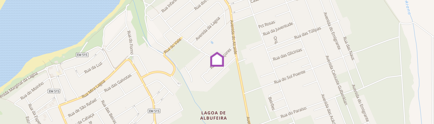 listing-map-picture