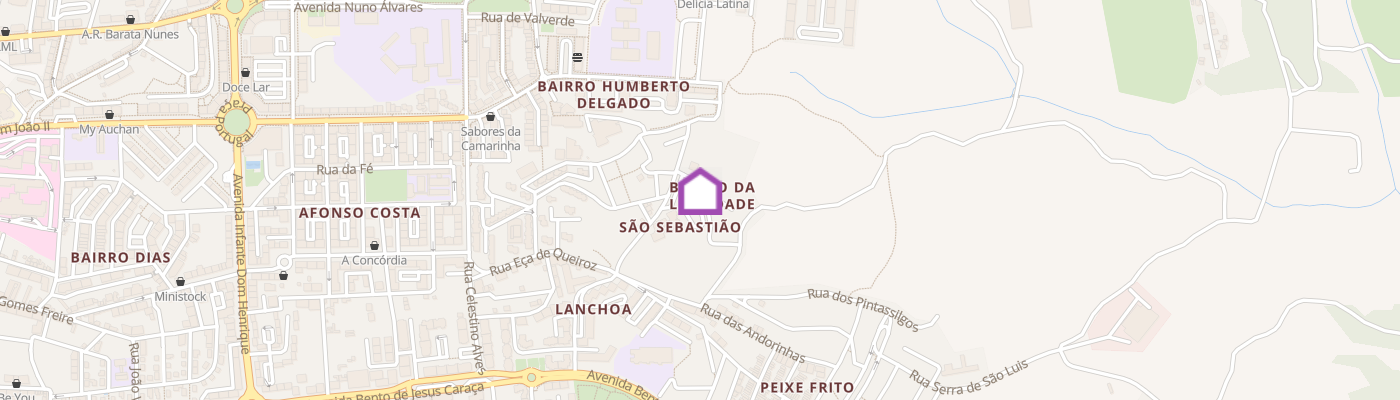 listing-map-picture