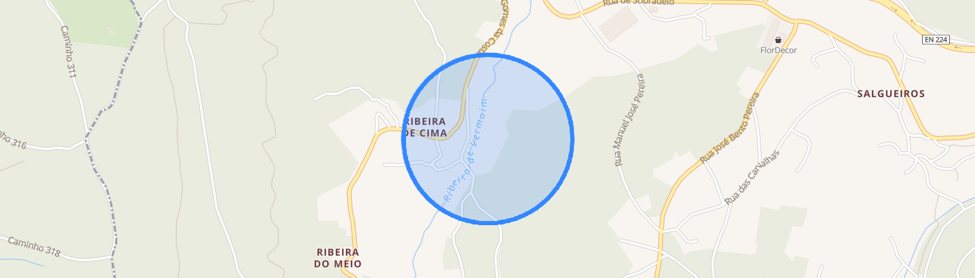 listing-map-picture