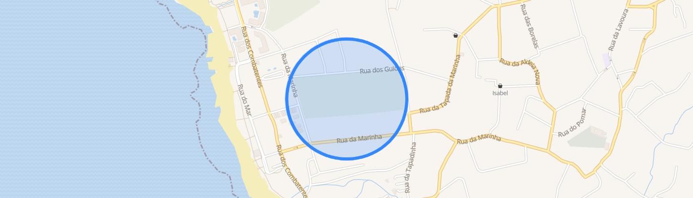listing-map-picture