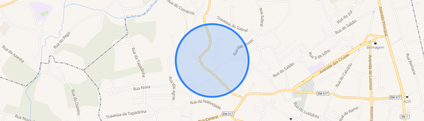 listing-map-picture