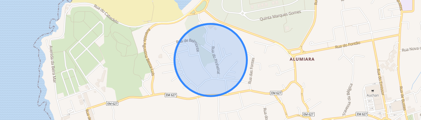 listing-map-picture