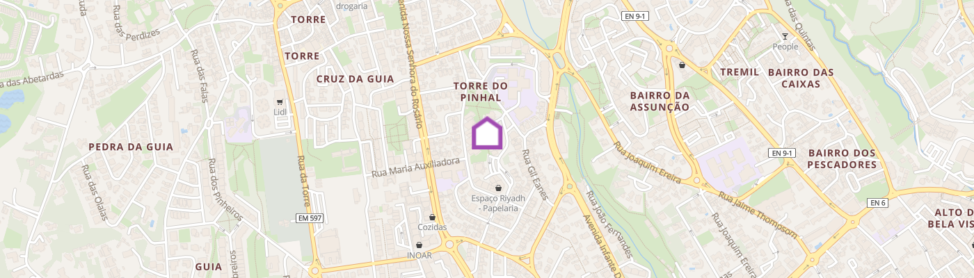 listing-map-picture