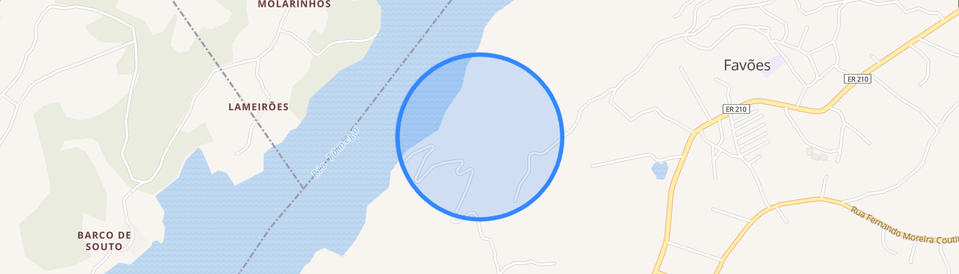 listing-map-picture