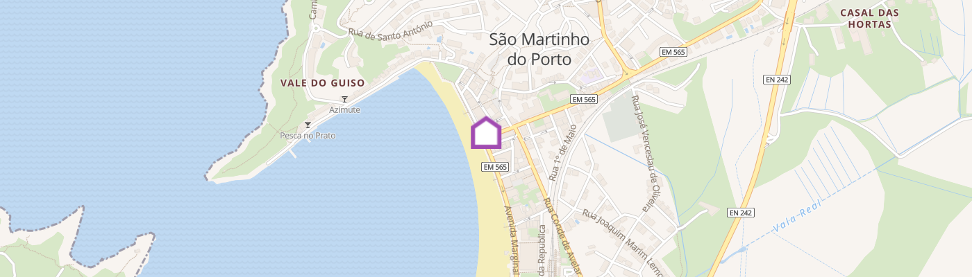 listing-map-picture