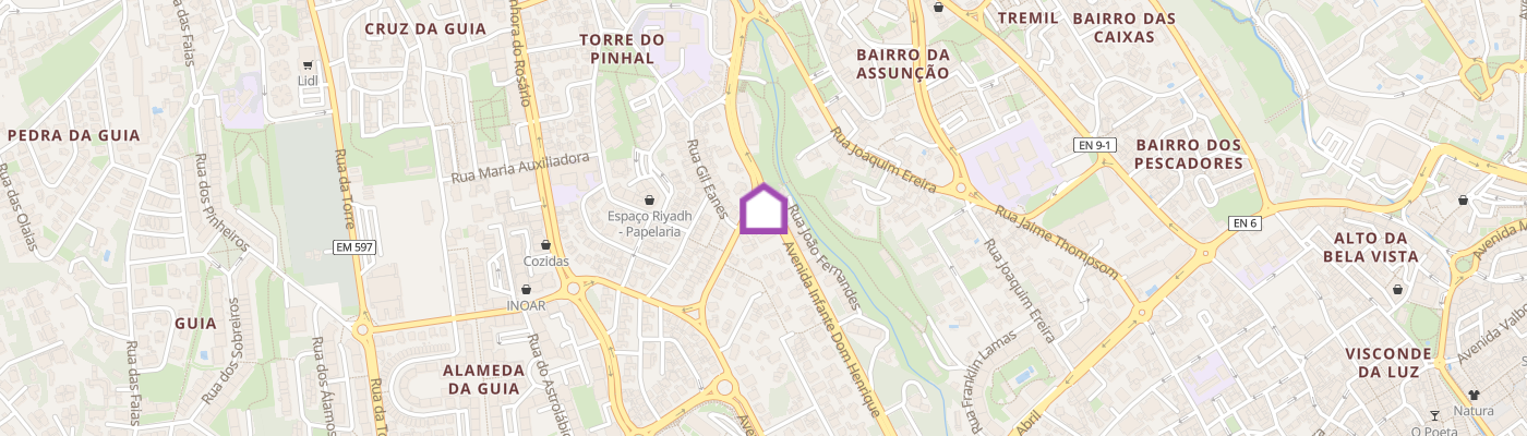 listing-map-picture