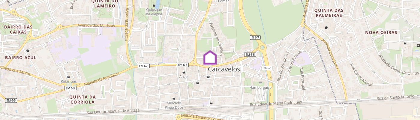 listing-map-picture