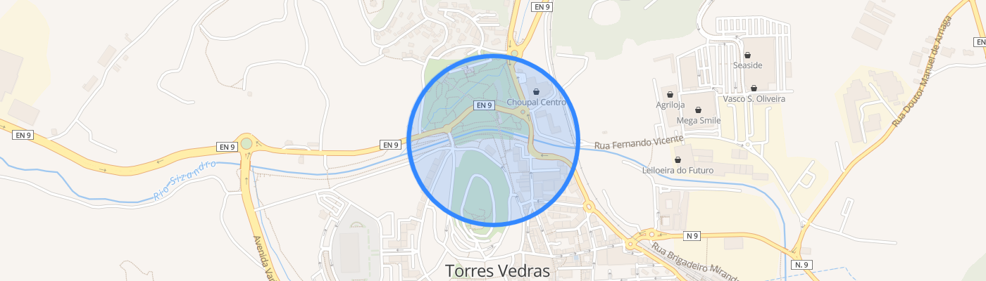 listing-map-picture