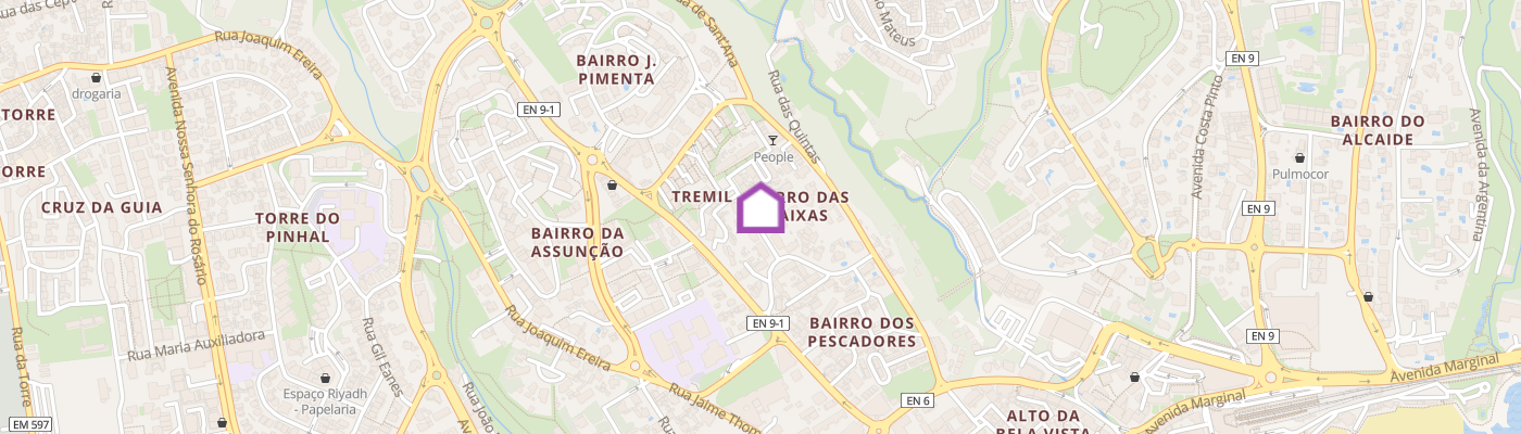 listing-map-picture