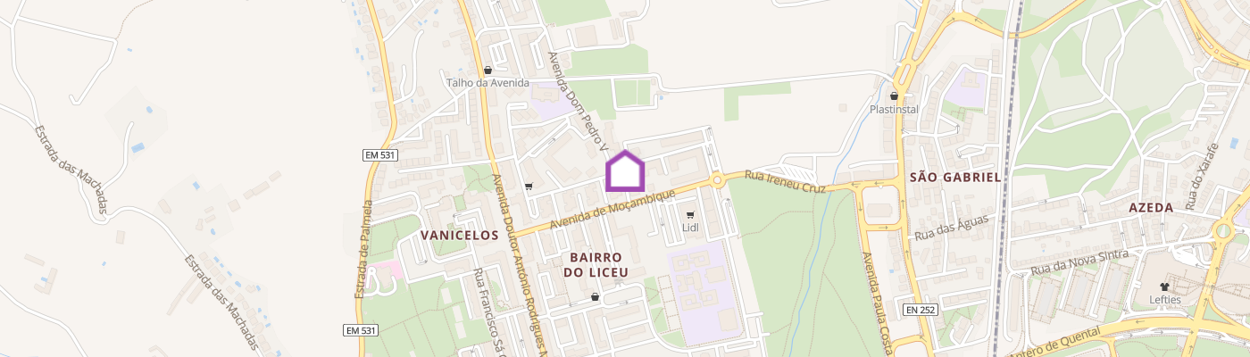 listing-map-picture