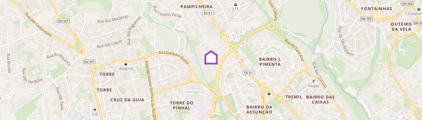 listing-map-picture