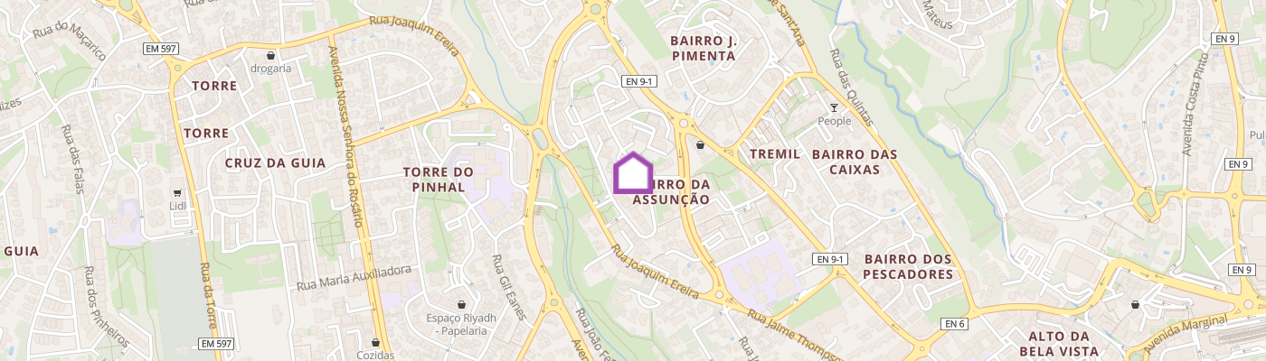 listing-map-picture