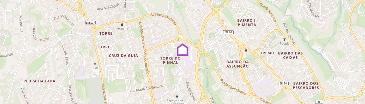 listing-map-picture