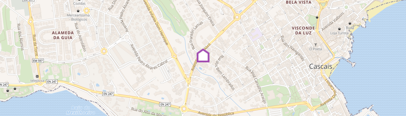 listing-map-picture