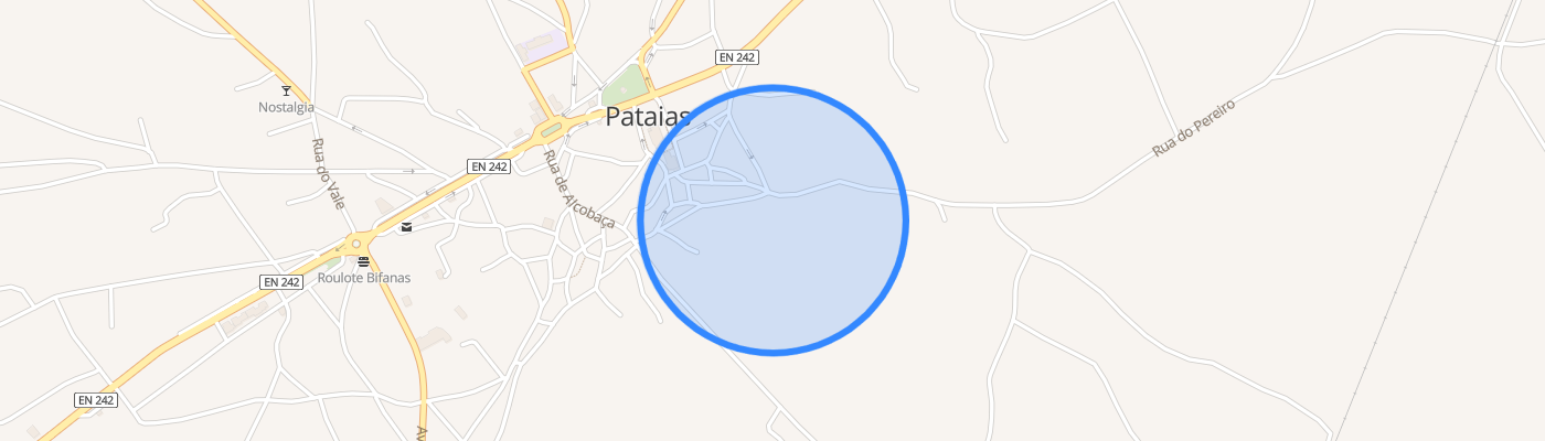 listing-map-picture