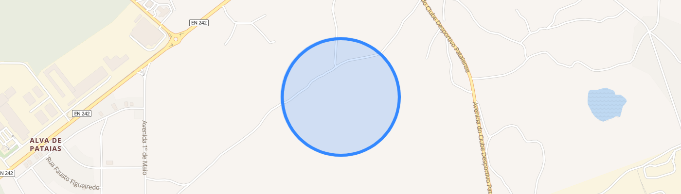 listing-map-picture