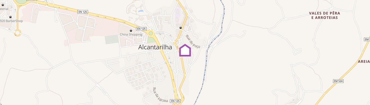 listing-map-picture